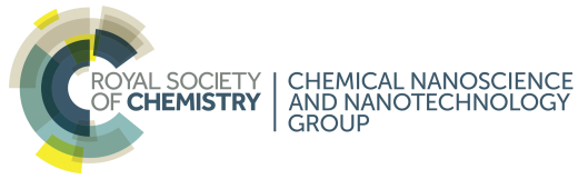 Royal Society of Chemistry: Chemical Nanoscience and Nanotechnology Group